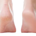 Herbal Skin Doctor Heel Balm